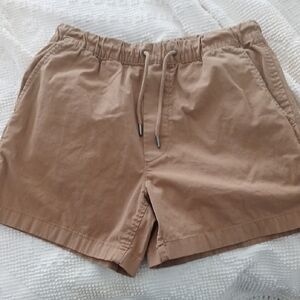 American Eagle Outfitters Tan Mens Trekker Shorts